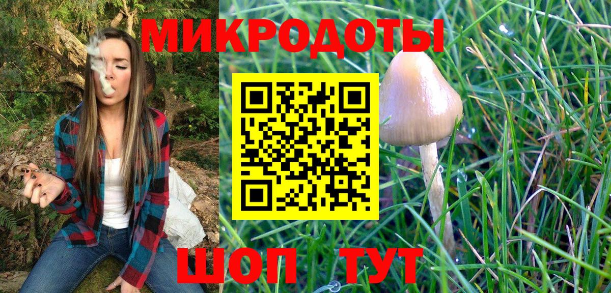 Галлюциногенные грибы Psilocybine cubensis Павловский Посад